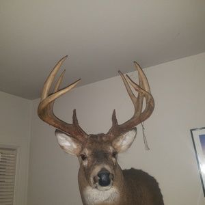 Meet your Posher, Shawn